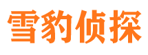 文登找人公司